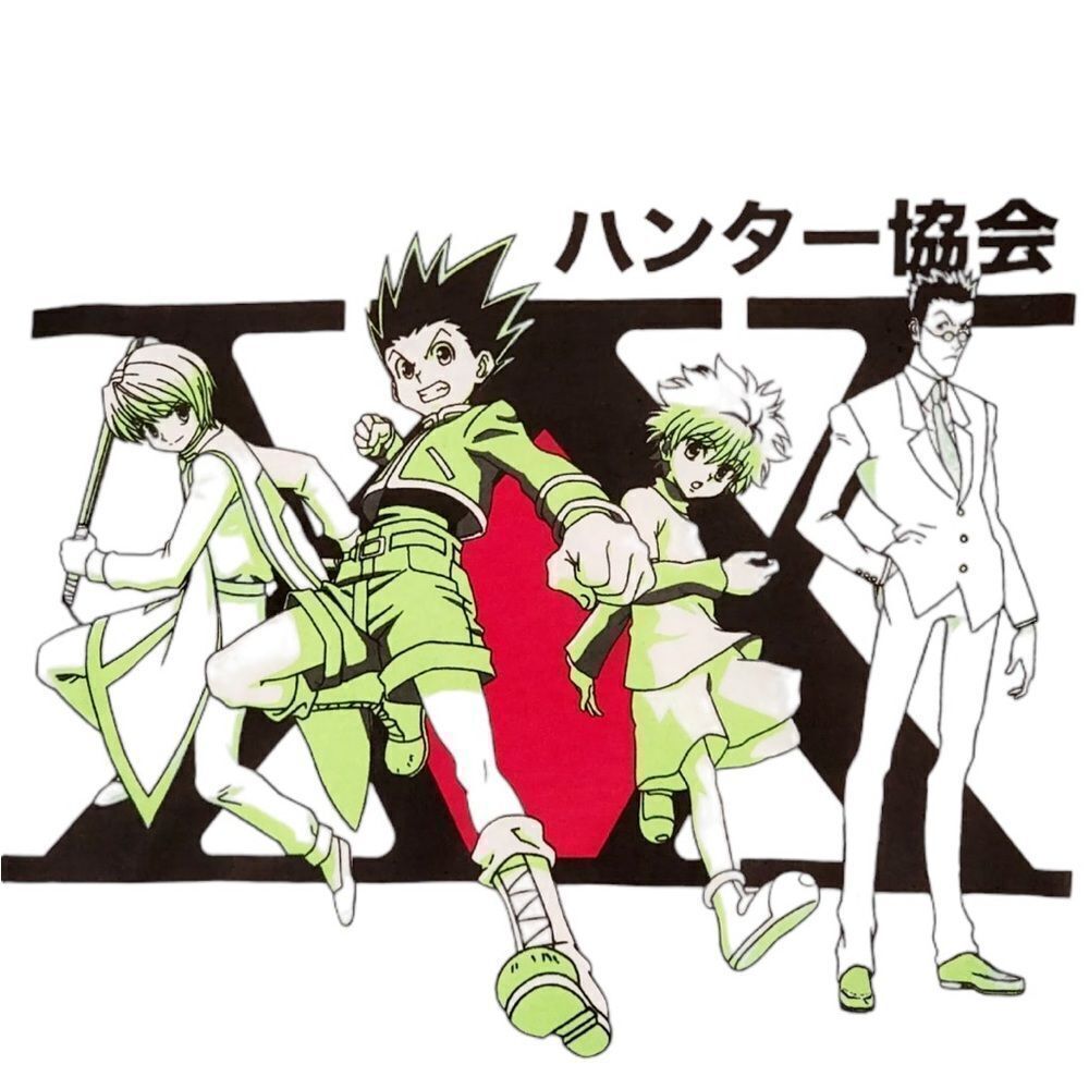 HUNTER X HUNTER GRAPHIC MENS TEE SHIRT, large